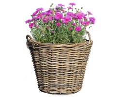 Mega Collections Plantenmand - bloemenmand - D42 x H31 cm - rond - rotan gevlochten - rieten mand