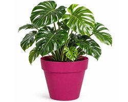 Mega Collections Plantenpot / bloempot - kunststof - fuchsia roze - binnen/buiten - D39 x H35 cm