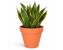 Mega Collections Plantenpot / bloempot - kunststof - oranje - binnen/buiten - D29 x H28 cm