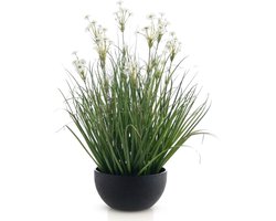 Meisterhome® Kunstplant Siergras 56 cm – Wit met Groen – Inclusief Pot – Onderhoudsvrij – Decoratieve Kamerplant