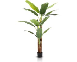 Meisterhome Strelitzia Kunstplant 180 cm – Luxe Paradijsvogelplant – Grote Tropische Kunstplant – Realistisch & Onderhoudsvrij - Woonkamer & Kantoor