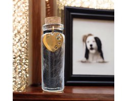 Memorial flesje voor huisdier - H 6 cm - Goud - Glazen flesje voor Pet Memorial vacht of as - Bewaren van as of plukjes vacht hond of kat- Blijvende herinnering kat of hond - mini urn - moderne urn - urn - memorial flesje