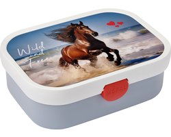 Mepal lunchbox Campus – Broodtrommel met vakjes voor kinderen – Geschikt voor 4 boterhammen – Wild Horse
