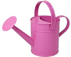 Metalen Gieter 1,5 Liter voor Kinderen - Duurzame Tuinaccessoires voor Binnen en Buiten
