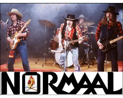 Metalen Wandbord NORMAAL, Maat 30x20 cm Leuk voor in je Man/Woman Cave, Decoratie, Woonaccessoires, ManCave, WomanCave, Serre, Overkapping, Bar etc.