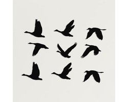 Metalen Wanddecoratie Vogels, 9-Delige Set voor Woonkamer en Tuin