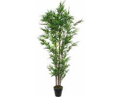 Mica Decorations Bamboe Kunstplant - H180 x Ø80 cm