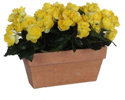 Mica Decorations begonia geel in balkonbak slate terra - 29x13x25