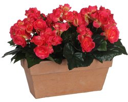 Mica Decorations - Begonia Kunstplant in Balkonbak Slate - L29 x B13 x H25 cm - Donkerroze