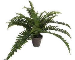 Mica Decorations Boston Varen kunstplant/kamerplant - groen - in pot - H35 cm x D45 cm