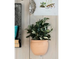 Mica Decorations Cordyline kunstplant - groen - H33 cm x D25 cm - grijze sierpot - kamerplant - Kunstplanten/nepplanten
