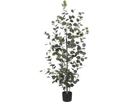Mica Decorations Eucalyptus Kunstplant H150 x Ø30 cm - Kunstplant in Pot - Onderhoudsvrije Kamerplant voor Binnen - Natuurlijke Uitstraling - Inclusief Zwarte Bloempot - Groen