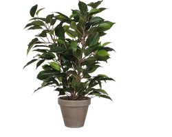 Mica Decorations Ficus Natsja Kunstplant Groen