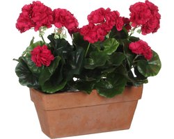 Mica Decorations - Geranium Kunstplant in Balkonbak - L29 x B13 x H40 cm - Donkerroze