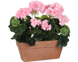 Mica Decorations - Geranium Kunstplant in Balkonbak - L29 x B13 x H40 cm - Roze