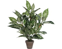Mica Decorations groene Dieffenbachia kunstplant - 70 cm - in pot - Kunstplanten/nepplanten