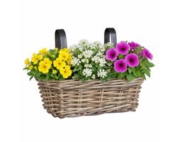 Mica Decorations Hangmand voor planten - 30 x 19 x 15 cm - gevlochten - hangende railing plantenbak - beugels