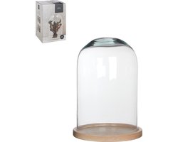 Mica Decorations Hella Glazen Stolp - H30 x Ø21 cm - Transparant, Lichtbruin