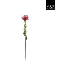 Mica Decorations - Kunstbloem - Protea bordeaux - l61cm