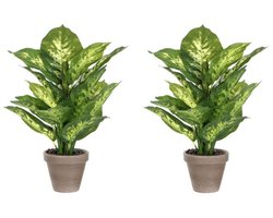 Mica Decorations Kunstplant Dieffenbachia - 2x - groen - 40 cm - in pot - nepplant - kamerplant
