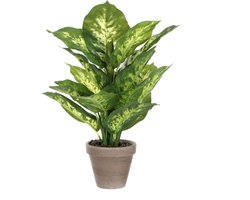 Mica Decorations Kunstplant Dieffenbachia - groen - 40 cm - in pot - nepplant - kamerplant