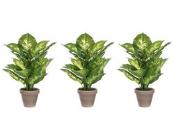 Mica Decorations Kunstplant Dieffenbachia - Voordeelset van 3x stuks - groen - 40 cm - in pot - nepplant - kamerplant