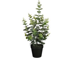 Mica Decorations Kunstplant Eucalyptus - H53 cm - groen - kunststof - bladgroen - in pot - 23 cm breed