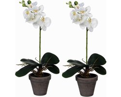 Mica Decorations Kunstplant Phalaenopsis Orchidee - 2x stuks - wit - grijze pot - H38 x D13 cm - kamerplant - Kunstplanten/nepplanten met bloemen