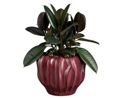 Mica Decorations Planten / bloempot Thom - bordeaux rood - keramiek - 25 x 31 cm