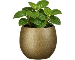 Mica Decorations Plantenpot - keramiek - goud glans / ribbels - D15 x H16 cm - bloempot Porto