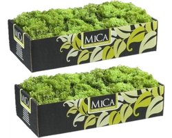 Mica Decorations Rendiermos - 3x pakjes - 500 gram - groen - hobby mos - decoratie materialen