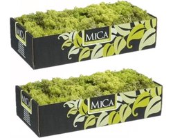 Mica Decorations Rendiermos - 3x pakjes - 500 gram - lichtgroen - hobby mos - decoratie materialen