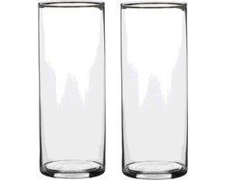 Mica Decorations Vaas - 2x - cilinder - helder glas - D9 x H24 cm - Bloemenvaas