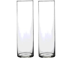 Mica Decorations Vaas - 2x - cilinder - helder glas - D9 x H30 cm - Bloemenvaas
