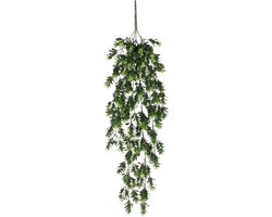 Mica Schefflera hangend groen