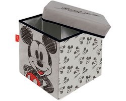 Mickey Mouse Opbergkruk 30x30x30 Cm Transparant