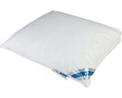 Microdown - hoofdkussen - 60 x 60 cm - Microvezels/Afneembare hoes/Machinewasbaar