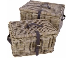 Migo Styling Fietsmand met deksel - rieten bakkersmand - 42x33x23 cm - rotan
