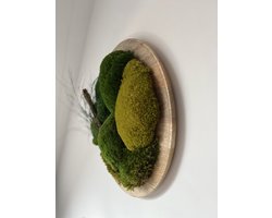Mijn Design Huis - mosschilderij -mos decoratie - wanddecoratie - muurdecoratie - tafeldecoratie