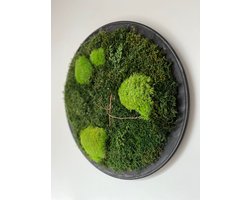 Mijn Design Huis -mosschilderij - moswand - wanddecoratie - mos - schilderij - tafeldecoratie Ø 37 cm