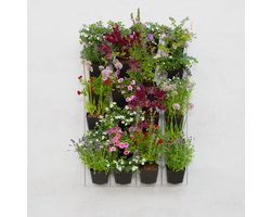 Mijn Verticale Tuin - Voor Buiten - Compleet Startpakket (Large) 90cm x 60cm - 24 Bakjes - Plantenbak aan de muur - Groene wand - Groene muur - Verticale Moestuin - Balkonbak - Plantenmuur - Muurtuin