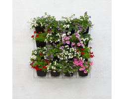 Mijn Verticale Tuin - Voor Buiten - Compleet Startpakket (Medium) 60cm x 60cm - 16 Bakjes - Plantenbak aan de muur - Groene wand - Groene muur - Verticale Moestuin - Balkonbak - Plantenmuur - Muurtuin