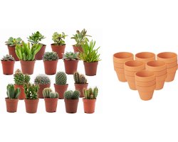 Mini Cactus & Succulenten Mix - 18 Stuks - Ø 8,1 cm - Hoogte: 5-10 cm - Terracotta Potten