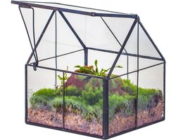 Mini glazen geometrisch plantenterrarium - zwart, handgemaakt - 1 stuk - 10,8 x 10,8 x 12,5 cm