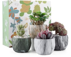 Mini Keramische Succulente Pot - Marmeren Bloempot voor Succulenten - 4 Stuks, 85 CM - Cactus Bonsai Planter Potten - Home Office Decoratie en Gift