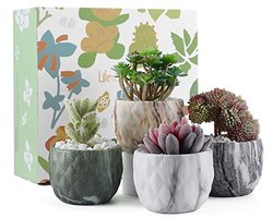 Mini Keramische Succulente Potten Set van 4 - Marmeren Bloempotten voor Cactussen en Vetplanten - Ideaal voor Thuis en Kantoor Decoratie