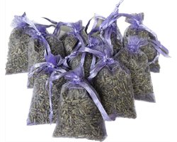 mini lavendel geurzakjes - 10 stuks - royaal gevuld zakje - lavendel lila - biologisch - anti insecten - anti motten - INCLUSIEF 1 EXTRA ZAKJE!