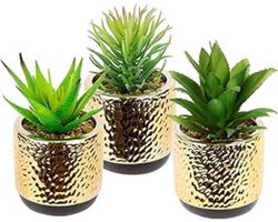 Mini Plantenset Vetplanten In Goudkleurige Keramische Pot Met Decoratieve Stenen - Kunstplanten Agave Cactussen En Groene Kamerplanten Voor Sfeervolle Woondecoratie
