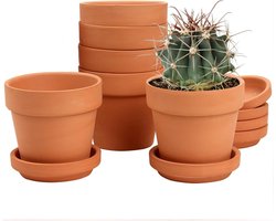 Mini terracotta potten set met onderzetter - 6 stuks bloempotten 10x10 cm - Met afvoergat - Voor kamerplanten en buiten - Huwelijkscadeau - Terracotta pot met dienblad