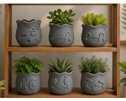 Mini Vetplant Potjes Set van 6 – Cute Face Plantenpotjes met Emoji Design – Decoratieve Potjes voor Vetplantjes en Cactussen – Grijs